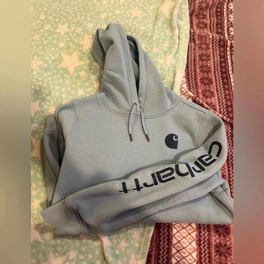 Carhartt Relaxed Fit Hoodie